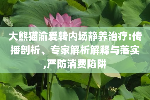 大熊貓渝愛轉(zhuǎn)內(nèi)場靜養(yǎng)治療:傳播剖析、專家解析解釋與落實,嚴(yán)防消費陷阱