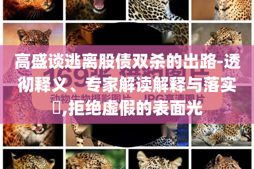 高盛談逃離股債雙殺的出路-透徹釋義、專家解讀解釋與落實(shí)?,拒絕虛假的表面光