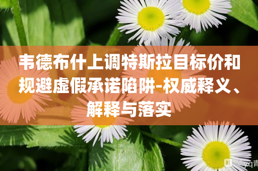 韋德布什上調特斯拉目標價和規(guī)避虛假承諾陷阱-權威釋義、解釋與落實