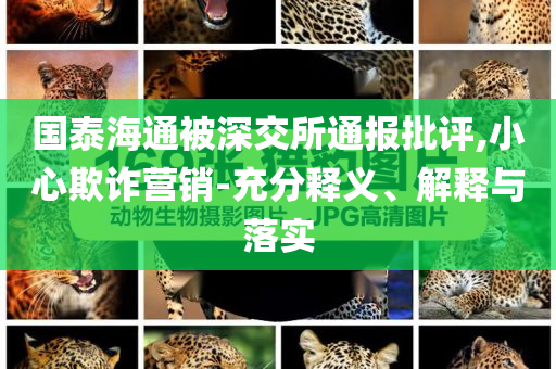 國泰海通被深交所通報批評,小心欺詐營銷-充分釋義、解釋與落實