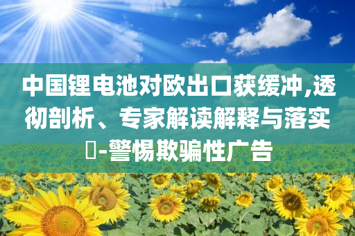 中國鋰電池對歐出口獲緩沖,透徹剖析、專家解讀解釋與落實?-警惕欺騙性廣告
