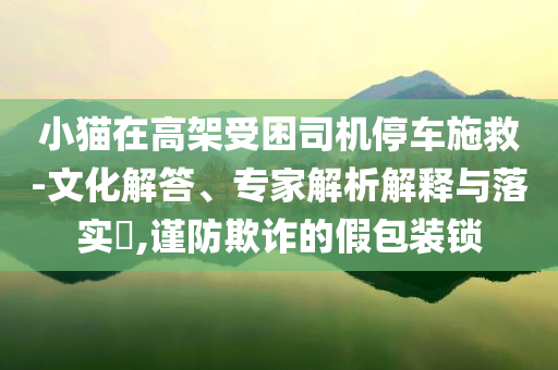 小貓在高架受困司機停車施救-文化解答、專家解析解釋與落實?,謹防欺詐的假包裝鎖
