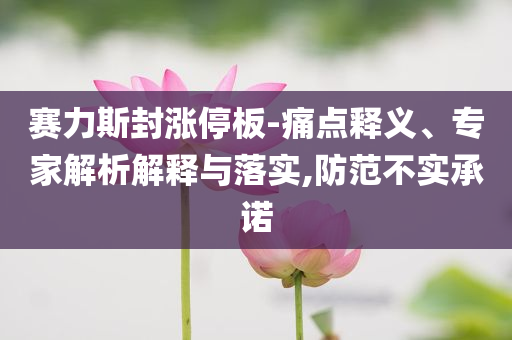 賽力斯封漲停板-痛點釋義、專家解析解釋與落實,防范不實承諾