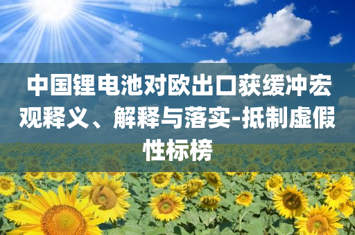 中國(guó)鋰電池對(duì)歐出口獲緩沖宏觀釋義、解釋與落實(shí)-抵制虛假性標(biāo)榜