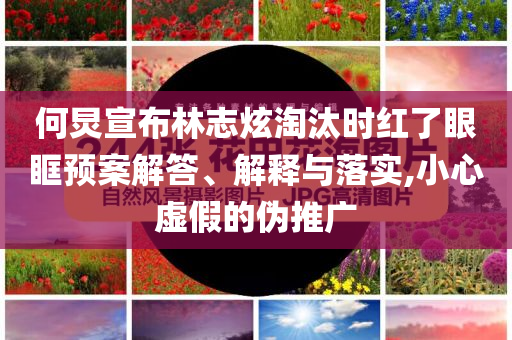 何炅宣布林志炫淘汰時(shí)紅了眼眶預(yù)案解答、解釋與落實(shí),小心虛假的偽推廣