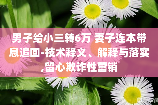 男子給小三轉(zhuǎn)6萬(wàn) 妻子連本帶息追回-技術(shù)釋義、解釋與落實(shí),留心欺詐性營(yíng)銷