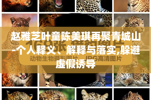 趙雅芝葉童陳美琪再聚青城山-個人釋義、解釋與落實,躲避虛假誘導(dǎo)