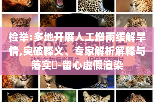 檢舉:多地開展人工增雨緩解旱情,突破釋義、專家解析解釋與落實?-留心虛假渲染