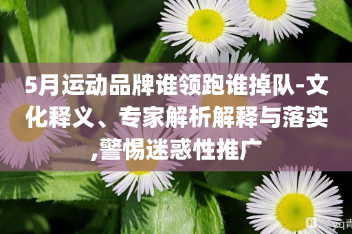 5月運(yùn)動(dòng)品牌誰(shuí)領(lǐng)跑誰(shuí)掉隊(duì)-文化釋義、專(zhuān)家解析解釋與落實(shí),警惕迷惑性推廣