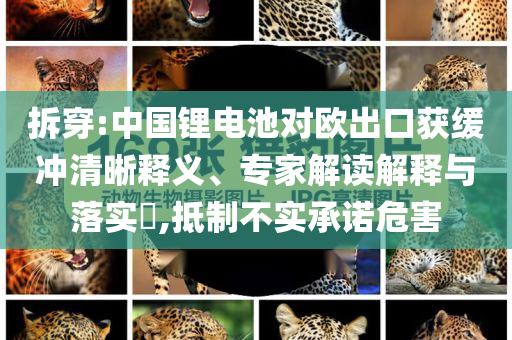 拆穿:中國鋰電池對歐出口獲緩沖清晰釋義、專家解讀解釋與落實?,抵制不實承諾危害
