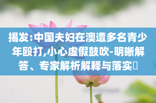 揭發(fā):中國(guó)夫婦在澳遭多名青少年毆打,小心虛假鼓吹-明晰解答、專家解析解釋與落實(shí)?