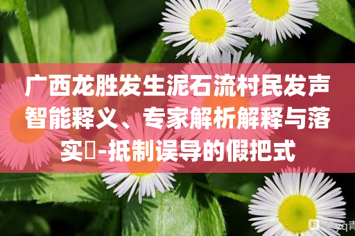 廣西龍勝發(fā)生泥石流村民發(fā)聲智能釋義、專(zhuān)家解析解釋與落實(shí)?-抵制誤導(dǎo)的假把式