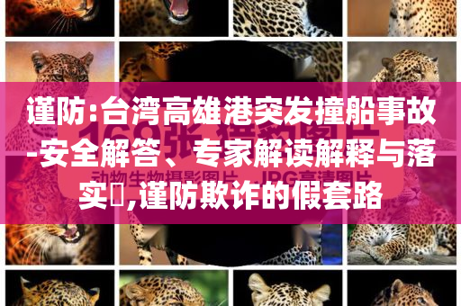 謹(jǐn)防:臺(tái)灣高雄港突發(fā)撞船事故-安全解答、專家解讀解釋與落實(shí)?,謹(jǐn)防欺詐的假套路