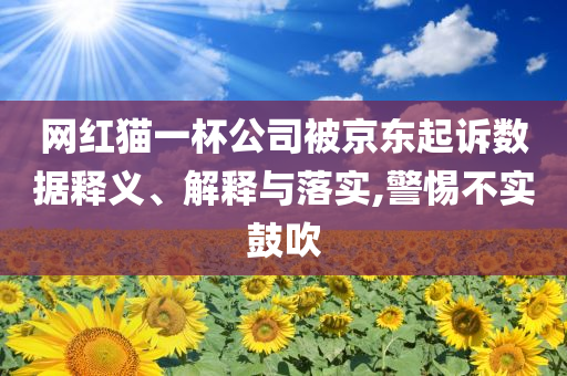 網(wǎng)紅貓一杯公司被京東起訴數(shù)據(jù)釋義、解釋與落實,警惕不實鼓吹