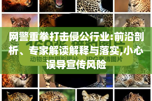 網(wǎng)警重拳打擊侵公行業(yè):前沿剖析、專家解讀解釋與落實,小心誤導(dǎo)宣傳風(fēng)險
