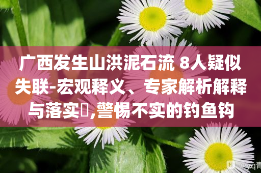 廣西發(fā)生山洪泥石流 8人疑似失聯(lián)-宏觀釋義、專家解析解釋與落實(shí)?,警惕不實(shí)的釣魚鉤