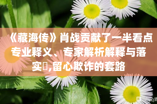 《藏海傳》肖戰(zhàn)貢獻(xiàn)了一半看點(diǎn)專業(yè)釋義、專家解析解釋與落實(shí)?,留心欺詐的套路