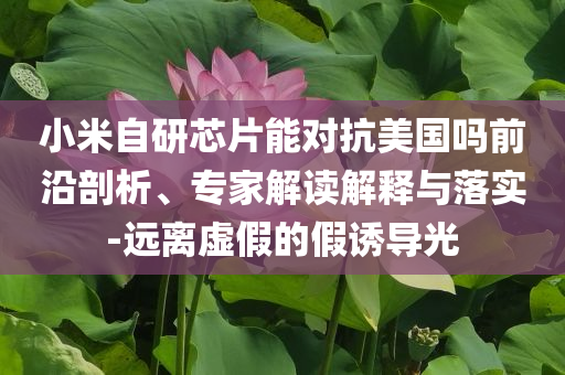 小米自研芯片能對(duì)抗美國嗎前沿剖析、專家解讀解釋與落實(shí)-遠(yuǎn)離虛假的假誘導(dǎo)光