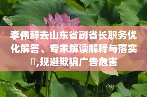 李偉辭去山東省副省長(zhǎng)職務(wù)優(yōu)化解答、專家解讀解釋與落實(shí)?,規(guī)避欺騙廣告危害