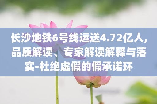 長(zhǎng)沙地鐵6號(hào)線運(yùn)送4.72億人,品質(zhì)解讀、專家解讀解釋與落實(shí)-杜絕虛假的假承諾環(huán)