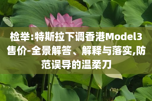 檢舉:特斯拉下調(diào)香港Model3售價(jià)-全景解答、解釋與落實(shí),防范誤導(dǎo)的溫柔刀