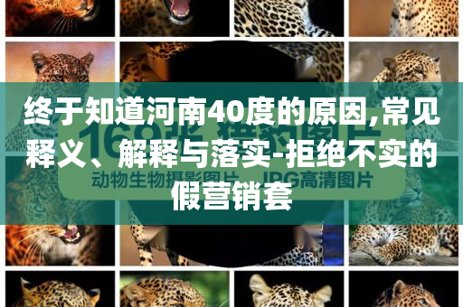 終于知道河南40度的原因,常見釋義、解釋與落實-拒絕不實的假營銷套