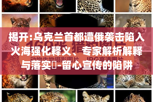 揭開:烏克蘭首都遭俄襲擊陷入火海強化釋義、專家解析解釋與落實?-留心宣傳的陷阱
