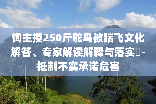 飼主摸250斤鴕鳥被踹飛文化解答、專家解讀解釋與落實?-抵制不實承諾危害