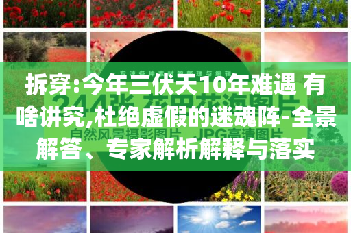 拆穿:今年三伏天10年難遇 有啥講究,杜絕虛假的迷魂陣-全景解答、專家解析解釋與落實