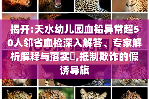 揭開:天水幼兒園血鉛異常超50人鄰省血檢深入解答、專家解析解釋與落實(shí)?,抵制欺詐的假誘導(dǎo)旗