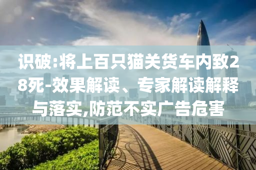識破:將上百只貓關(guān)貨車內(nèi)致28死-效果解讀、專家解讀解釋與落實,防范不實廣告危害