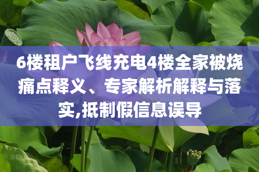6樓租戶(hù)飛線(xiàn)充電4樓全家被燒痛點(diǎn)釋義、專(zhuān)家解析解釋與落實(shí),抵制假信息誤導(dǎo)