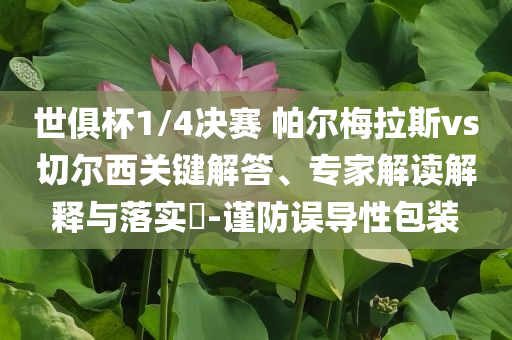 世俱杯1/4決賽 帕爾梅拉斯vs切爾西關鍵解答、專家解讀解釋與落實?-謹防誤導性包裝