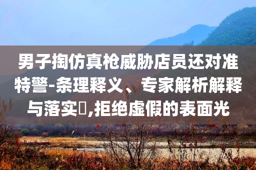 男子掏仿真槍威脅店員還對準(zhǔn)特警-條理釋義、專家解析解釋與落實(shí)?,拒絕虛假的表面光