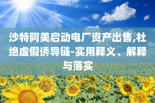 沙特阿美啟動電廠資產(chǎn)出售,杜絕虛假誘導鏈-實用釋義、解釋與落實