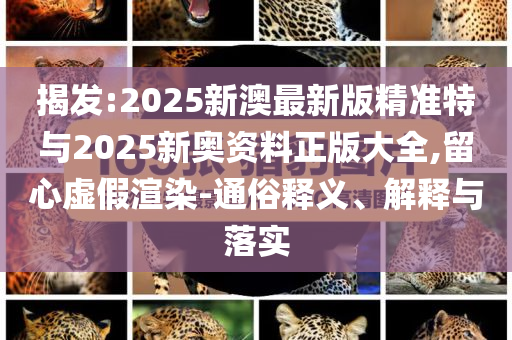 揭發(fā):2025新澳最新版精準(zhǔn)特與2025新奧資料正版大全,留心虛假渲染-通俗釋義、解釋與落實(shí)