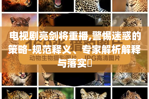 電視劇亮劍將重播,警惕迷惑的策略-規(guī)范釋義、專家解析解釋與落實(shí)?
