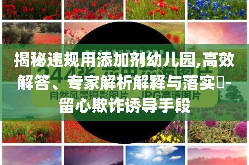 揭秘違規(guī)用添加劑幼兒園,高效解答、專家解析解釋與落實(shí)?-留心欺詐誘導(dǎo)手段
