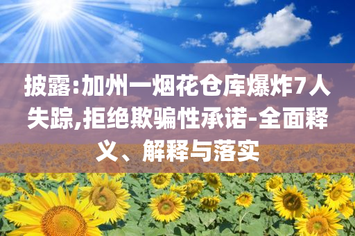 披露:加州一煙花倉(cāng)庫(kù)爆炸7人失蹤,拒絕欺騙性承諾-全面釋義、解釋與落實(shí)