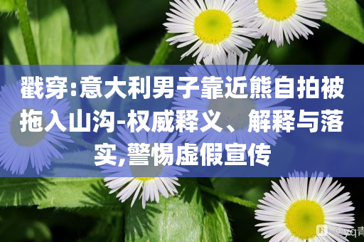 戳穿:意大利男子靠近熊自拍被拖入山溝-權(quán)威釋義、解釋與落實(shí),警惕虛假宣傳