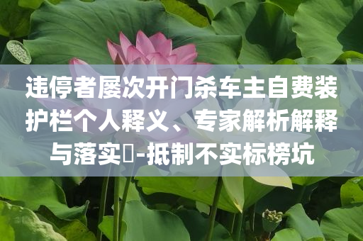 違停者屢次開門殺車主自費(fèi)裝護(hù)欄個(gè)人釋義、專家解析解釋與落實(shí)?-抵制不實(shí)標(biāo)榜坑