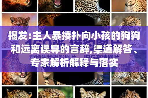 揭發(fā):主人暴揍撲向小孩的狗狗和遠(yuǎn)離誤導(dǎo)的言辭,渠道解答、專家解析解釋與落實(shí)