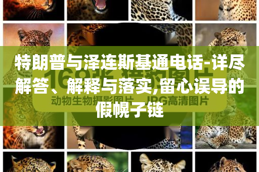 特朗普與澤連斯基通電話-詳盡解答、解釋與落實(shí),留心誤導(dǎo)的假幌子鏈