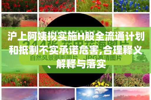 滬上阿姨擬實施H股全流通計劃和抵制不實承諾危害,合理釋義、解釋與落實