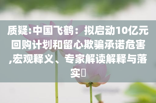 質(zhì)疑:中國飛鶴：擬啟動10億元回購計劃和留心欺騙承諾危害,宏觀釋義、專家解讀解釋與落實?