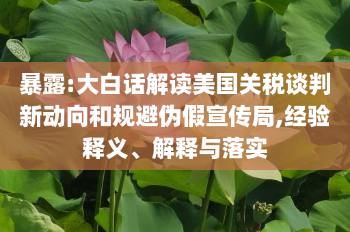 暴露:大白話解讀美國關稅談判新動向和規(guī)避偽假宣傳局,經驗釋義、解釋與落實