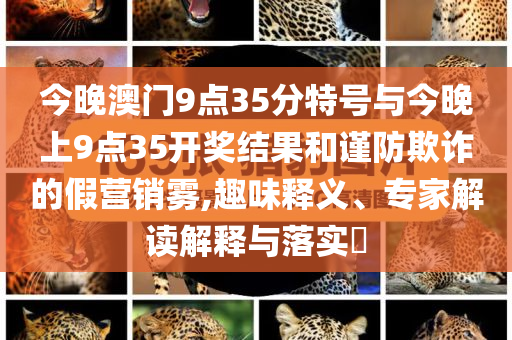 今晚澳門9點(diǎn)35分特號(hào)與今晚上9點(diǎn)35開獎(jiǎng)結(jié)果和謹(jǐn)防欺詐的假營(yíng)銷霧,趣味釋義、專家解讀解釋與落實(shí)?