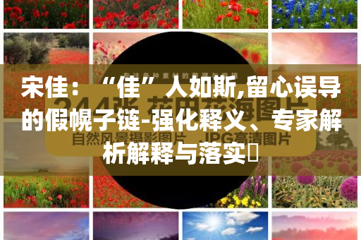 宋佳：“佳”人如斯,留心誤導(dǎo)的假幌子鏈-強(qiáng)化釋義、專家解析解釋與落實(shí)?
