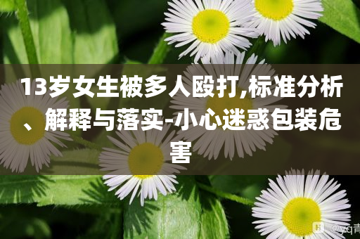 13歲女生被多人毆打,標(biāo)準(zhǔn)分析、解釋與落實(shí)-小心迷惑包裝危害