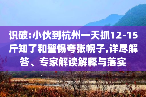 識破:小伙到杭州一天抓12-15斤知了和警惕夸張幌子,詳盡解答、專家解讀解釋與落實